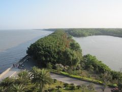 -大湾区中央湿地公园