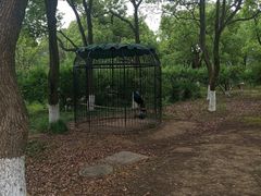 -白马涧龙池景区