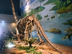 -自贡恐龙博物馆