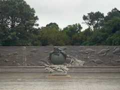 -广东惠东海龟国家级自然保护区