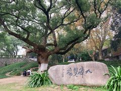-中国美术学院象山校区-民艺博物馆