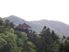 -大围山国家森林公园