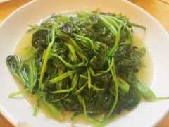 清炒菠菜-珍宝蟹舫·巴城味道(巴城总店)