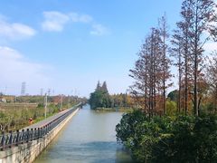 -上海长兴岛郊野公园