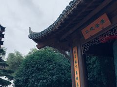 -绳金塔