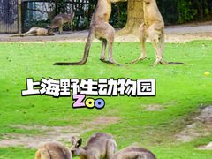 -上海野生动物园