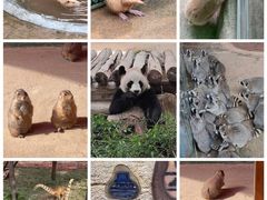 -杭州野生动物世界