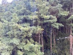-苍山感通索道