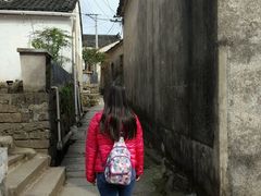 -灵山景区梯田