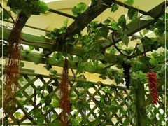 -桃源新村双台子店