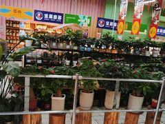 -大润发(张江店)