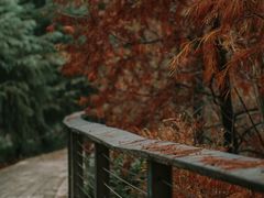 -诺贝尔湖公园