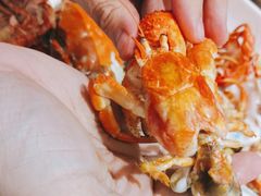 -半岛听涛蒸汽海鲜自助(K11店)