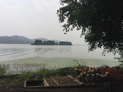 -东湖落雁景区