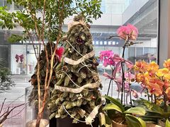 -卓花境Flowerwonderland花店