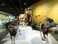 -陕西自然博物馆