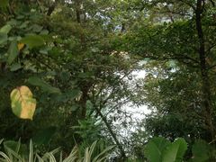 -广州市流溪河国家森林公园