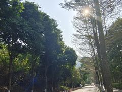 -凤岗南门山森林公园