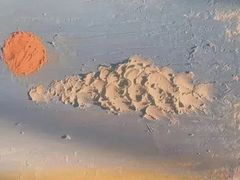 -沪上阿姨鲜果茶(新人民商场步行街店)