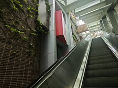 -香港大学