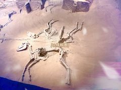 -洛阳周王城天子驾六博物馆