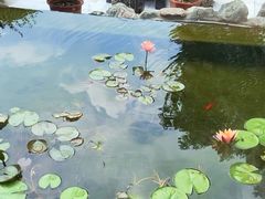 -蘇河湾·新鲁菜·泰山宴(泰山店)