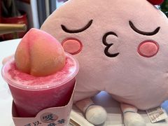 -韩乐坊