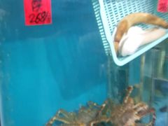 -海大大蒸汽海鲜餐厅·粤菜·特色小炒(欢乐颂店)