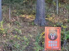 -五营红松林海景区