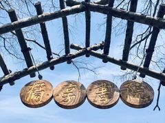 -前小桔亲子创意农场·草莓采摘·露营烧烤