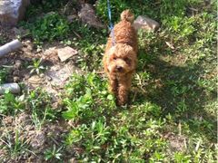 iphone_upload_pic-穹窿山景区