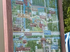 -黄海国家森林公园