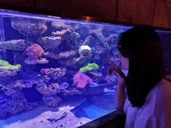 -zoonana室内动物园(东方福来德店)
