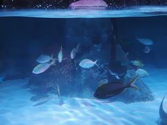 -沈阳海洋探索中心