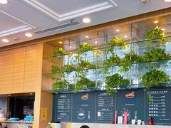 -何必是家面馆 HB noodles&coffee