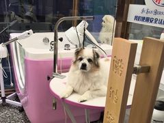 -FAELING PETS美天灵宠物(富力广场店)