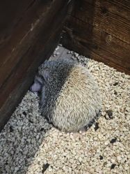 -酷嗒动物文化乐园(cutezoo西溪乐天城店)