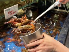 -亚马逊蒸汽活海鲜自助(LCM置汇旭辉广场店)