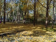 -百年义利(甜水园东里店)