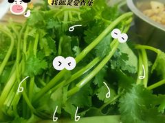 -专业跳跳蛙·彭彭老铺(步行街店)