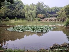 -赭山公园