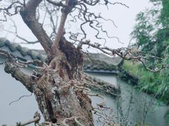 -成都杜甫草堂博物馆