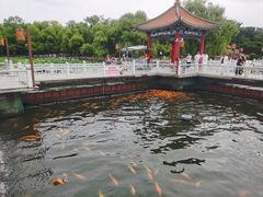 -长春市南湖公园