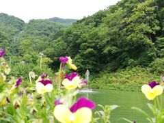 -天女山森林公园