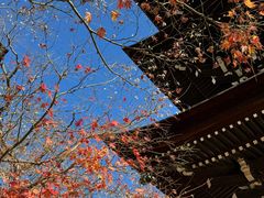 -医王山·飞騨国分寺