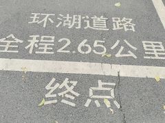 -海珠湖公园