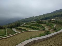 景点-泽雅景区