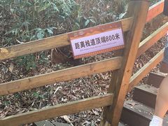 -霸王岭国家森林公园