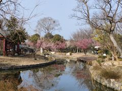 -鹅湖玫瑰文化园