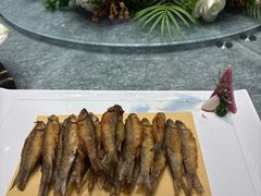 -丰尔粥食·顺德鱼生·干蒸排骨顺德菜(大良分店)